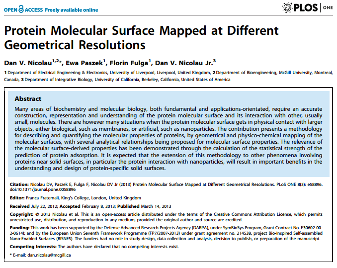 Protein Molecular Surface Mapped at Different Geometrical Resolutions